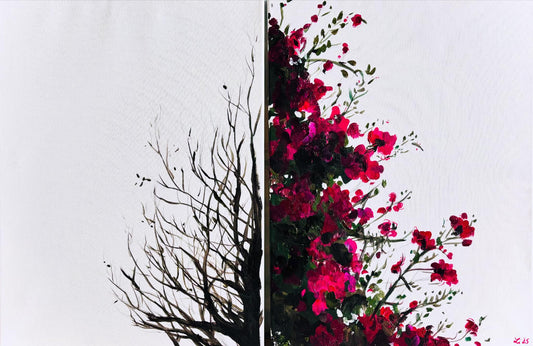Seasons